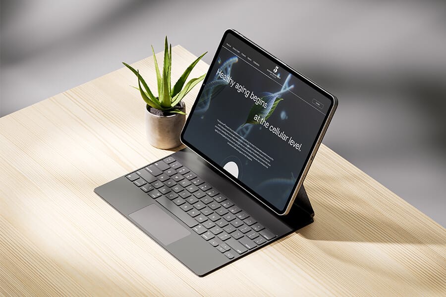 Website Mockup auf einem Tablet mit einer Pflanze daneben